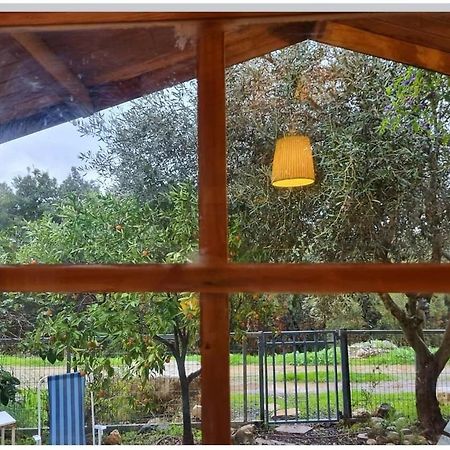 בקתת מטיילים Apartment Mitzpe Hila Exterior photo