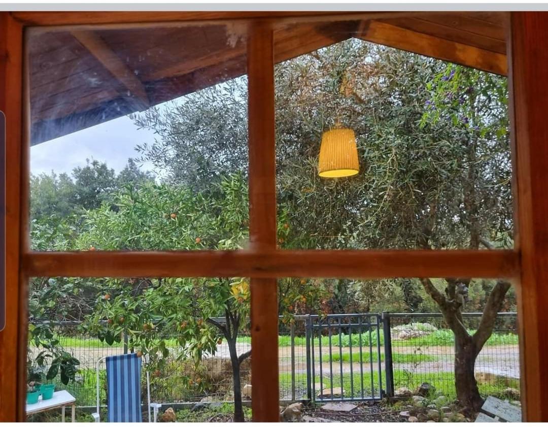 בקתת מטיילים Apartment Mitzpe Hila Exterior photo